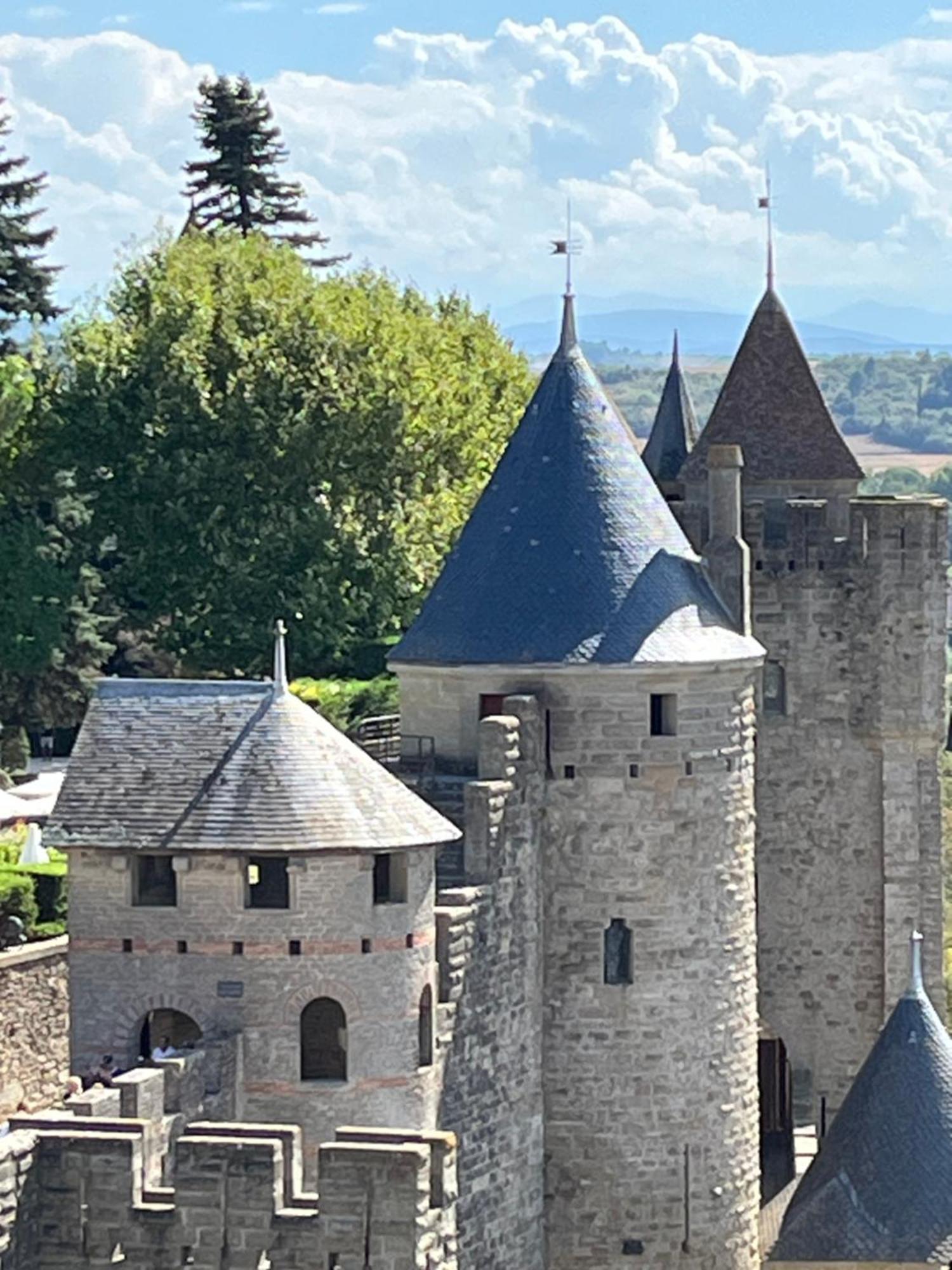 Appartement Tres Calme, Rdc, 800 M De La Cite Medievale Classee Au Patrimoine De L'Unesco Carcassonne Exterior foto